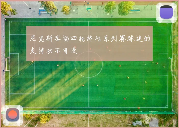 尼克斯客场四轮终结系列赛球迷的支持功不可没